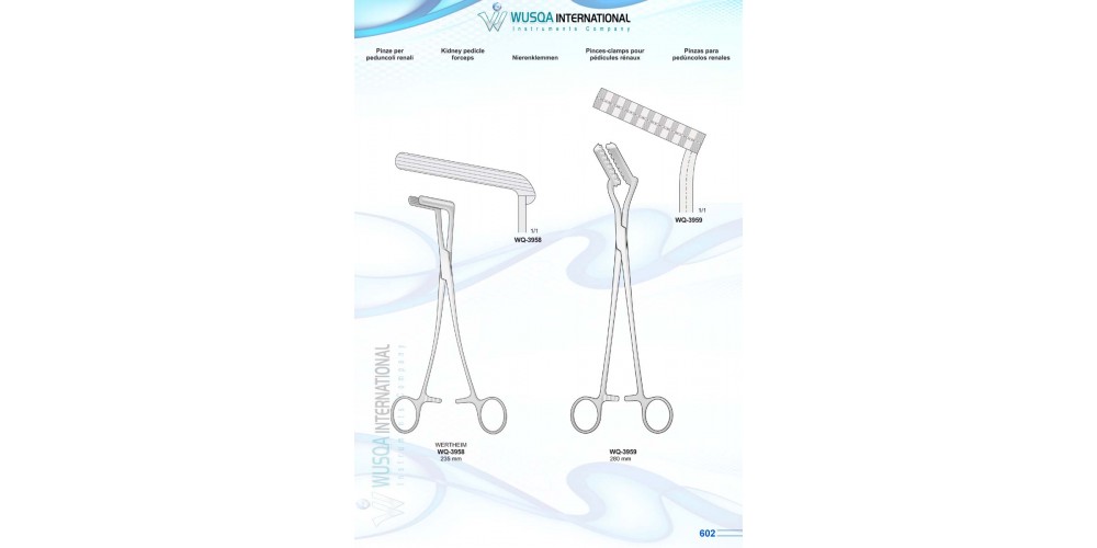 Kidney Pedicle Forceps 